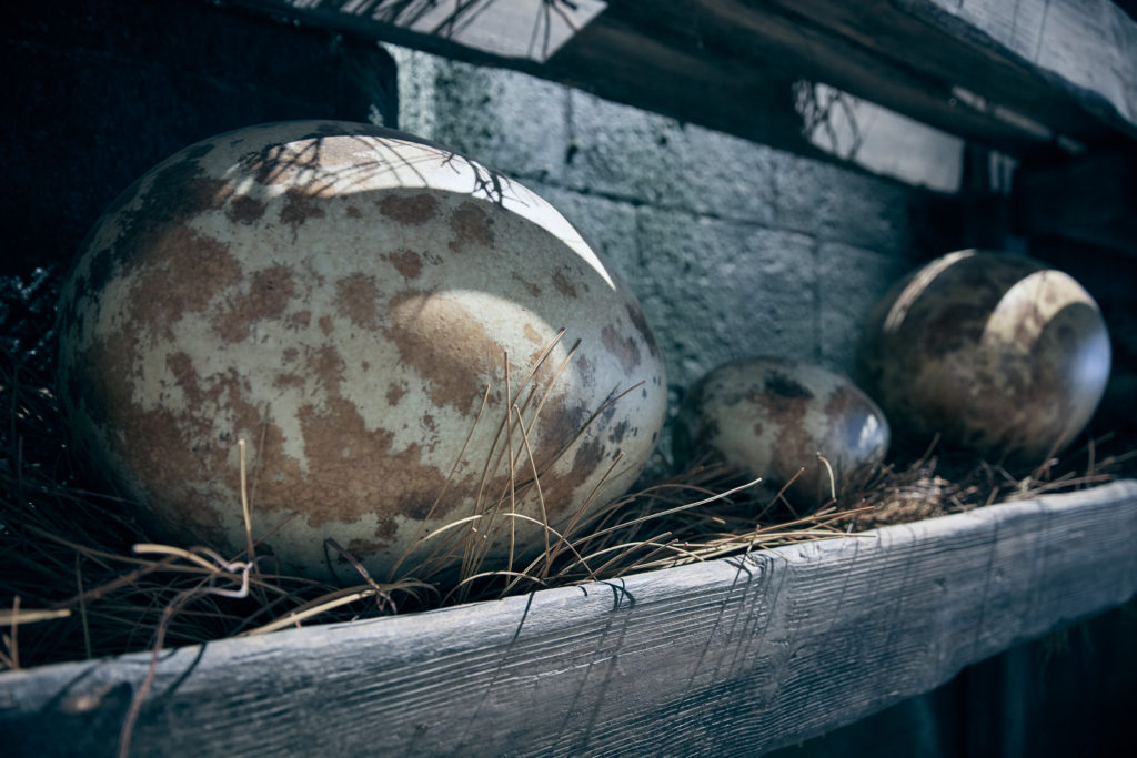 Hagrid's Magical Creatures Motorbike Adventure Dragon Eggs