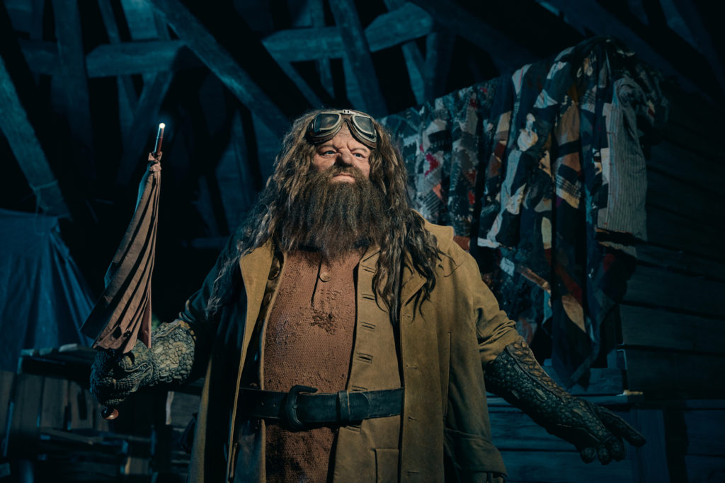 Hagrid's Animated Figure