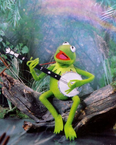 kermit the frog rainbow connection geek fashion
