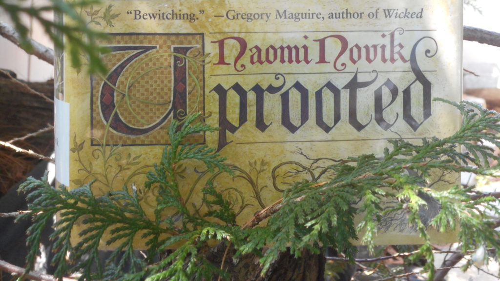 uprooted book